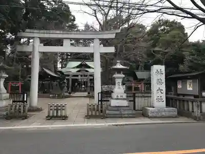 杵築大社の鳥居
