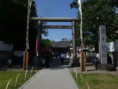 浅草神社の鳥居