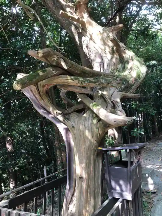 黒嶋神宮の自然