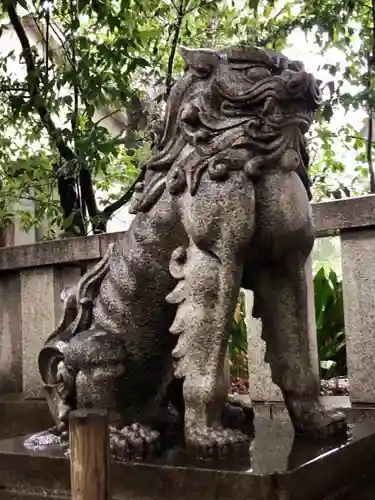 渋谷氷川神社の狛犬