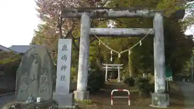 鹿島神社の鳥居