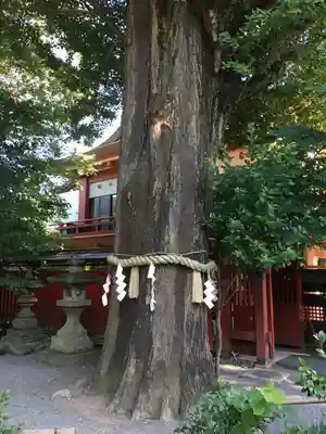 秩父神社のその他建物