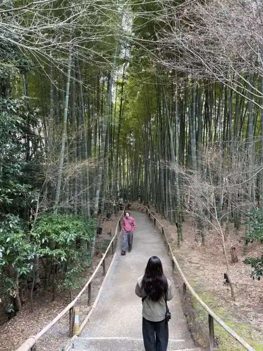 高台寺(高台寿聖禅寺・高臺寺)の{uncategorized: "未分類", other: "その他", undefined: "問題あり", building: "その他建物", grave: "お墓", sacred_gate: "鳥居", guardian: "狛犬", statue: "像", buddha: "仏像", history: "歴史", nature: "自然", garden: "庭園", animal: "動物", pagoda: "塔", temizu: "手水舎", mountain_gate: "山門・神門", sanctuary: "本殿・本堂", subordinate: "末社・摂社", art: "芸術", scenery: "景色", jizo: "地蔵", ema: "絵馬", goshuin: "御朱印", omikuji: "おみくじ", items: "授与品その他", amulet: "お守り", goshuincho: "御朱印帳", eats: "食事", festival: "お祭り", votive_dance: "神楽", shichigosan: "七五三参", wedding: "結婚式", experience: "体験その他", initially: "初詣", around: "周辺", anti_infection: "感染症対策"}
