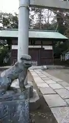 白旗神社(西御門)の狛犬