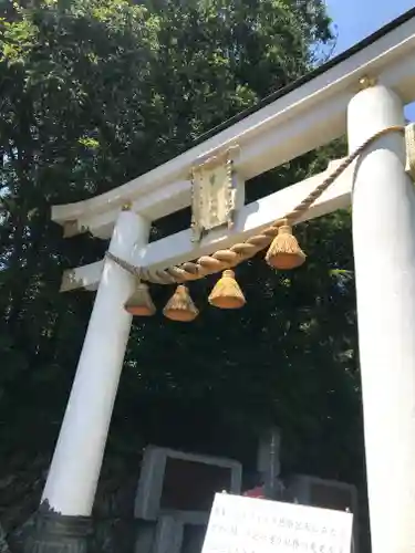 宝登山神社の鳥居