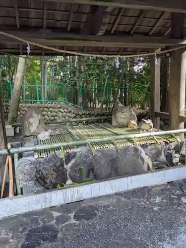 椿大神社の手水舎