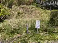 本牧神社の自然