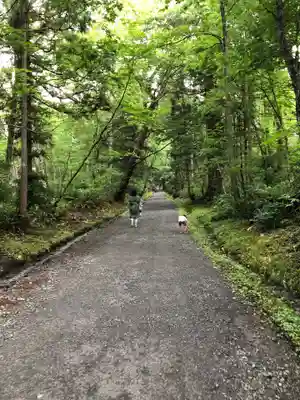 戸隠神社九頭龍社の景色