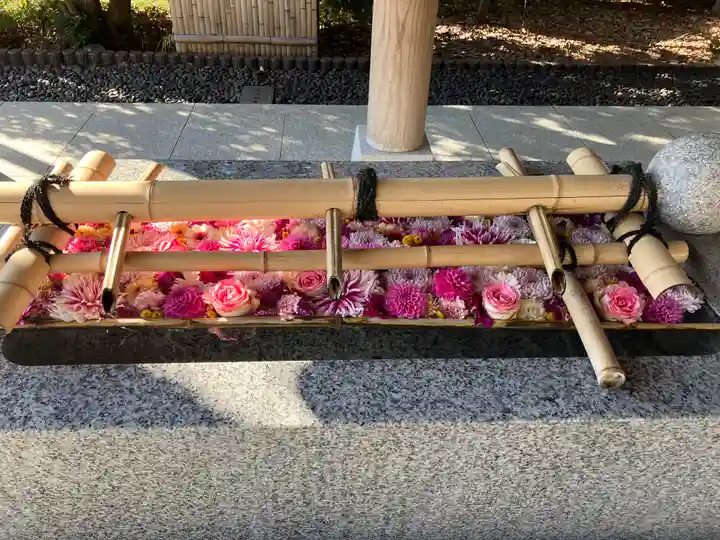 東郷神社(東京都)