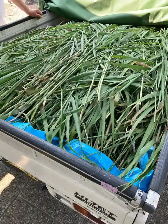 總社 和田八幡宮(福井県)