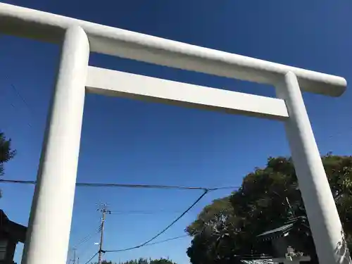 安房神社の鳥居