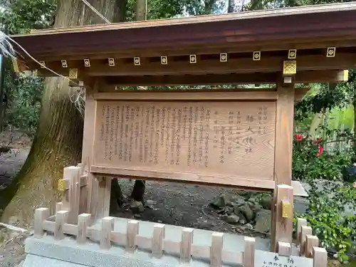 椿大神社の歴史