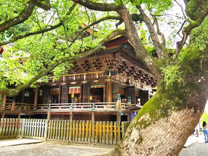 金刀比羅宮の本殿・本堂