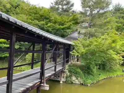 高台寺（高台寿聖禅寺・高臺寺）(京都府)
