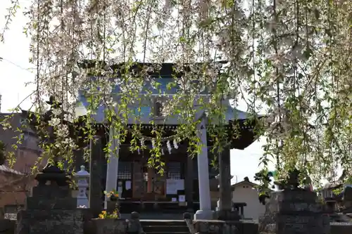 熊野福藏神社の本殿