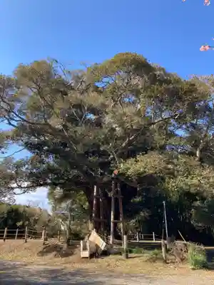 寂光寺(千葉県)