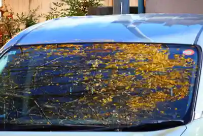 阿邪訶根神社の自然