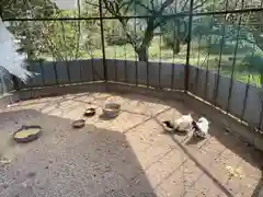 進雄神社の動物