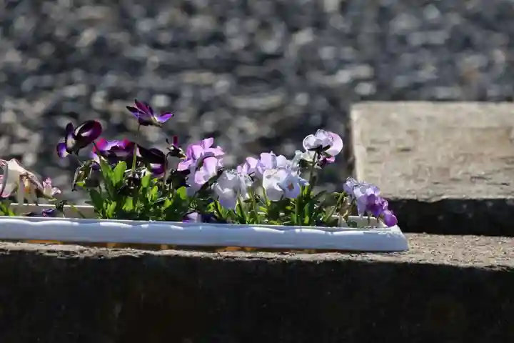 熊野福藏神社の自然