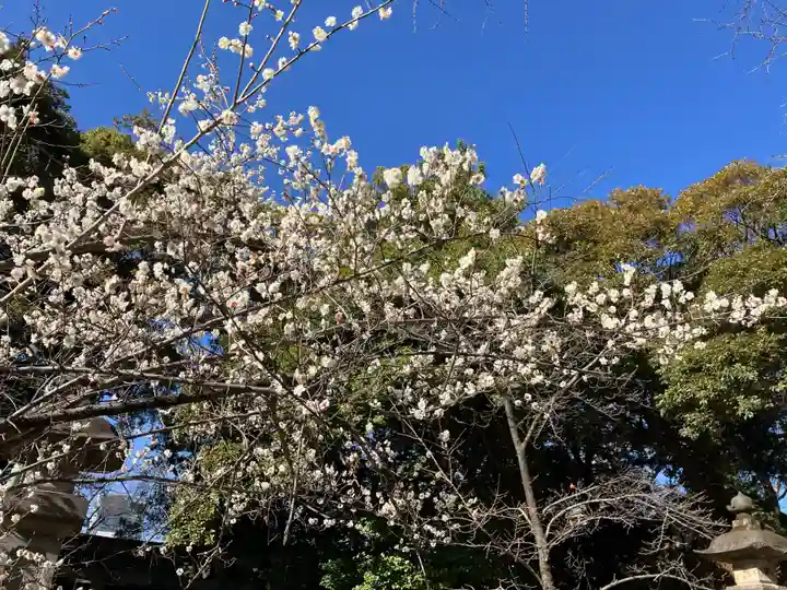 赤坂氷川神社(東京都)
