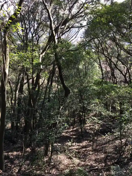 佐志能神社の自然