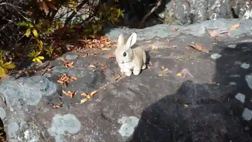 日蓮宗 総本山 塔頭 定林坊(じょうりんぼう)の狛犬