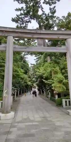 寒川神社の鳥居