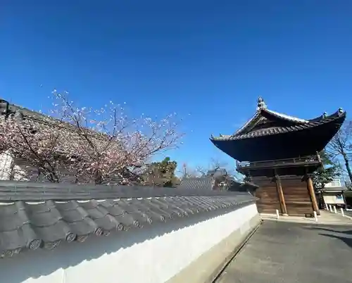 延命寺の山門