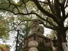 八坂神社(祇園さん)の狛犬