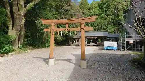 土佐神社の鳥居