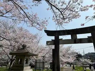 筑紫神社の{uncategorized: "未分類", other: "その他", undefined: "問題あり", building: "その他建物", grave: "お墓", sacred_gate: "鳥居", guardian: "狛犬", statue: "像", buddha: "仏像", history: "歴史", nature: "自然", garden: "庭園", animal: "動物", pagoda: "塔", temizu: "手水舎", mountain_gate: "山門・神門", sanctuary: "本殿・本堂", subordinate: "末社・摂社", art: "芸術", scenery: "景色", jizo: "地蔵", ema: "絵馬", goshuin: "御朱印", omikuji: "おみくじ", items: "授与品その他", amulet: "お守り", goshuincho: "御朱印帳", eats: "食事", festival: "お祭り", votive_dance: "神楽", shichigosan: "七五三参", wedding: "結婚式", experience: "体験その他", initially: "初詣", around: "周辺", anti_infection: "感染症対策"}
