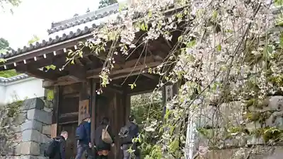 三千院門跡の山門・神門