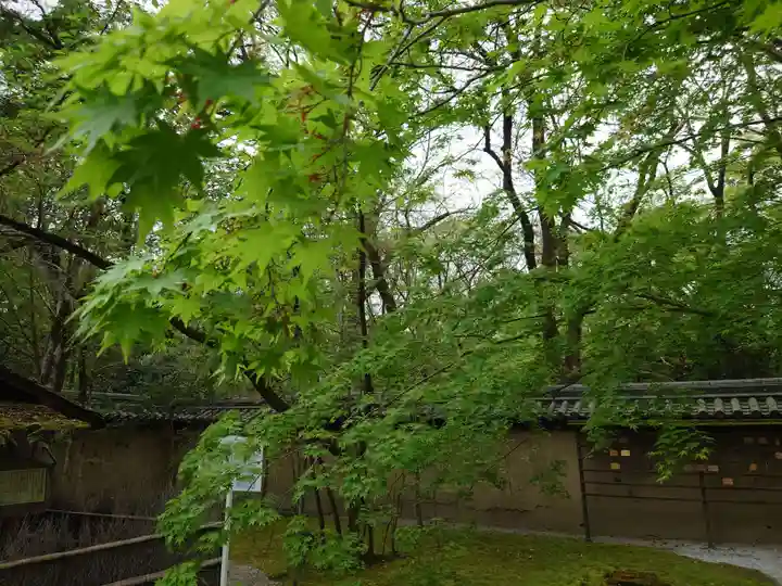 賀茂御祖神社(下鴨神社)(京都府)