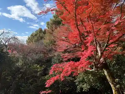 霊鑑寺門跡(京都府)
