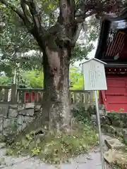 一之宮貫前神社(群馬県)