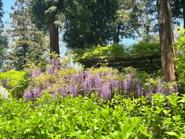 歌泉堂(春日大社神苑萬葉植物園内鎮座)(奈良県)