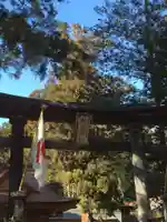 穂高神社本宮の鳥居