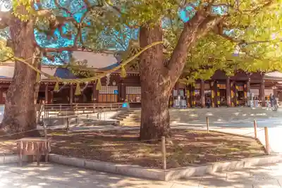 明治神宮(東京都)