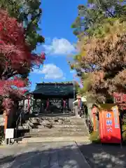 疋野神社(熊本県)