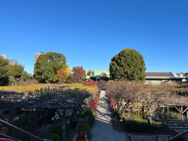 亀戸天神社(東京都)