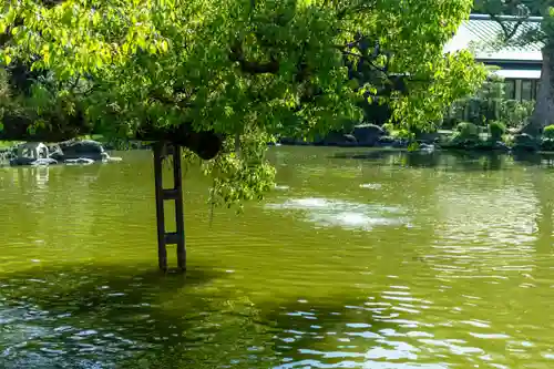 宗像大社(福岡県)