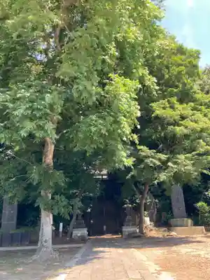赤城神社(千葉県)