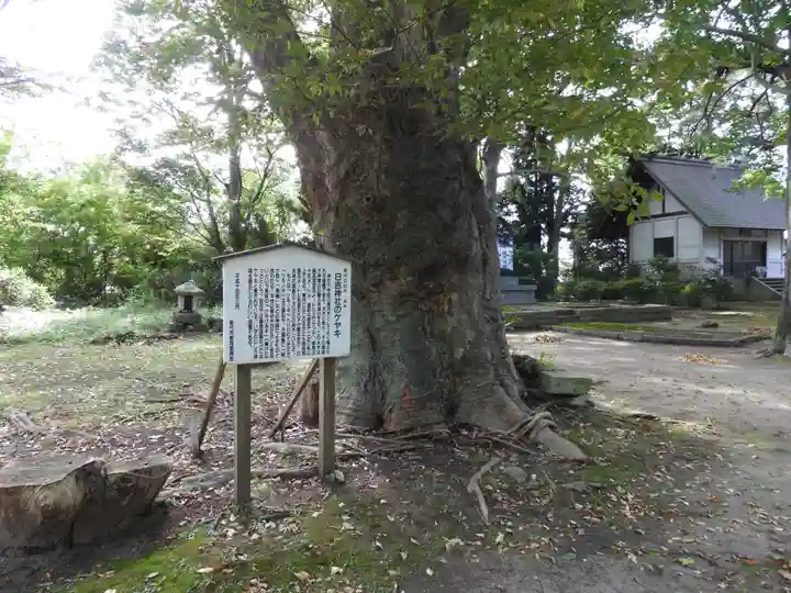日吉神社(秋田県)