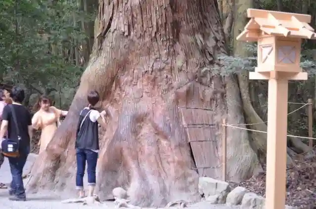 伊勢神宮内宮(皇大神宮)の自然