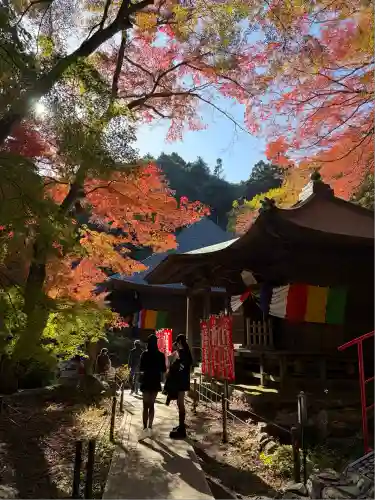 普門寺(切り絵御朱印発祥の寺)(愛知県)