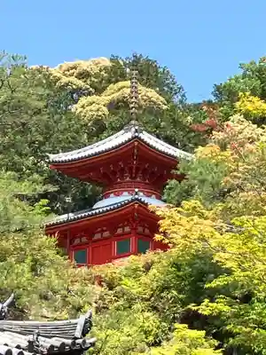 今熊野観音寺(京都府)