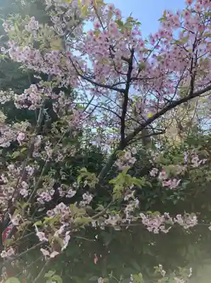 大江神社(大阪府)