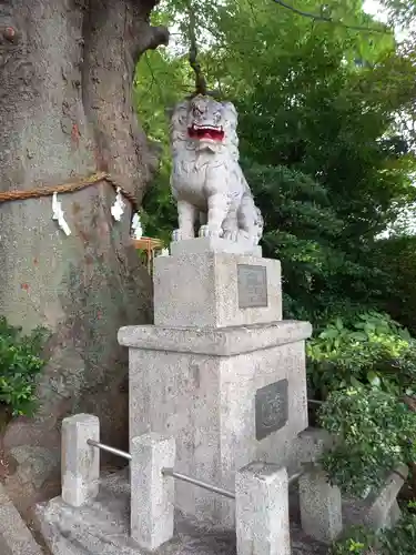 比々多神社(神奈川県)