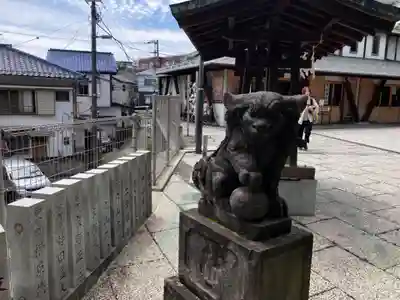 太田杉山神社・横濱水天宮の狛犬