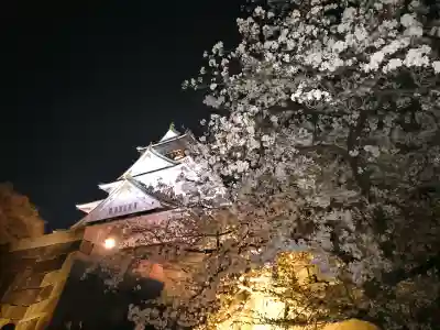 豊國神社の{uncategorized: "未分類", other: "その他", undefined: "問題あり", building: "その他建物", grave: "お墓", sacred_gate: "鳥居", guardian: "狛犬", statue: "像", buddha: "仏像", history: "歴史", nature: "自然", garden: "庭園", animal: "動物", pagoda: "塔", temizu: "手水舎", mountain_gate: "山門・神門", sanctuary: "本殿・本堂", subordinate: "末社・摂社", art: "芸術", scenery: "景色", jizo: "地蔵", ema: "絵馬", goshuin: "御朱印", omikuji: "おみくじ", items: "授与品その他", amulet: "お守り", goshuincho: "御朱印帳", eats: "食事", festival: "お祭り", votive_dance: "神楽", shichigosan: "七五三参", wedding: "結婚式", experience: "体験その他", initially: "初詣", around: "周辺", anti_infection: "感染症対策"}